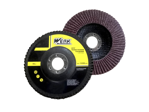 Диск пелюстковий конічний125х22,2 зернистість P120, Т29 WERK (WE107103/5432706)